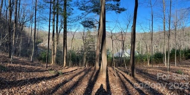 64 Longspur Lane