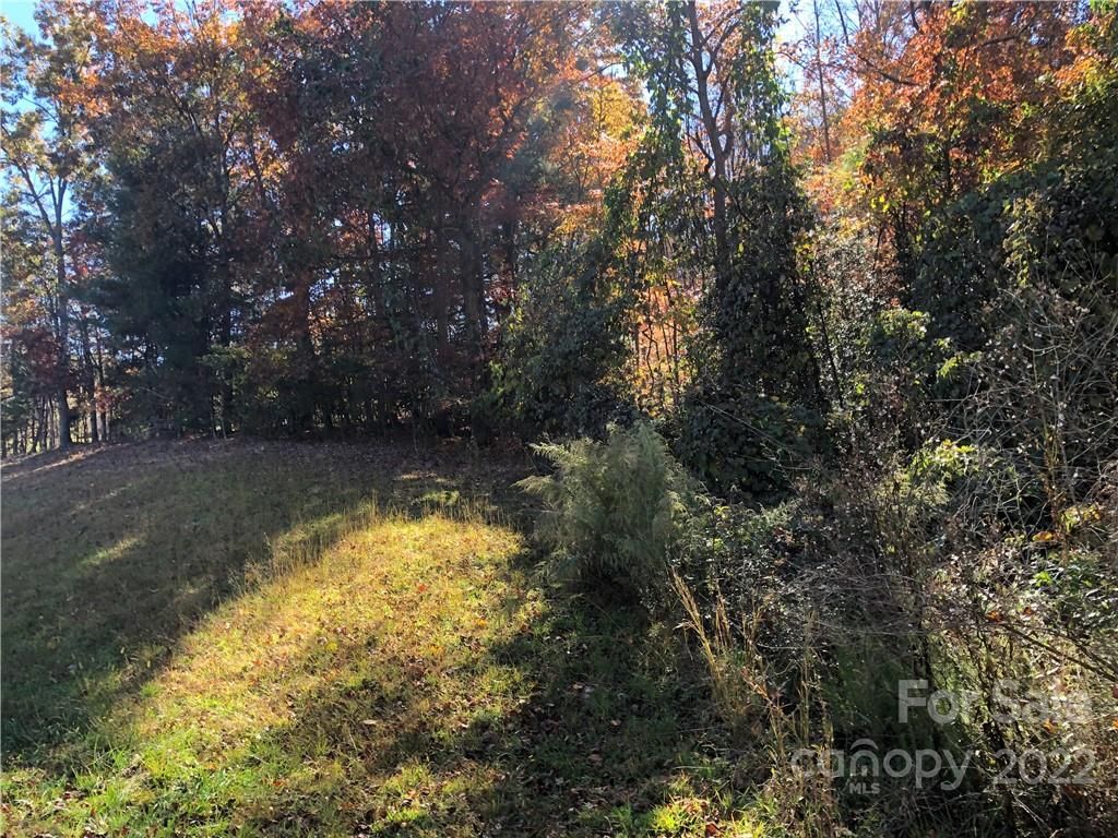 101 Springwood Drive
