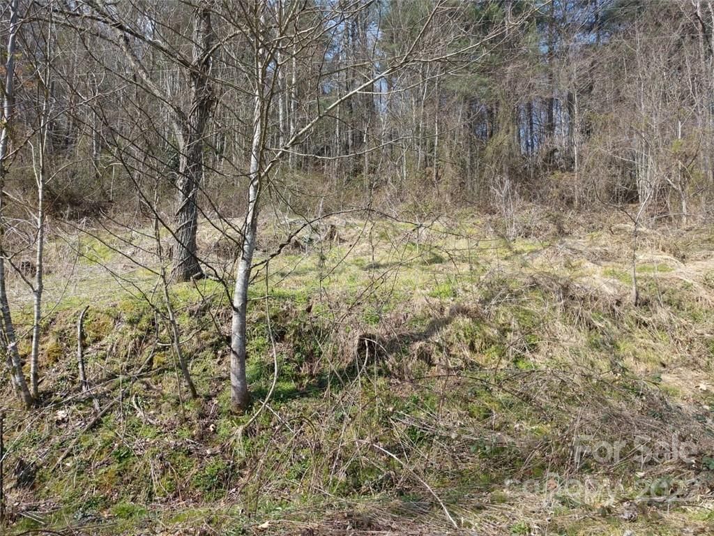 80 Walking Horse Trail