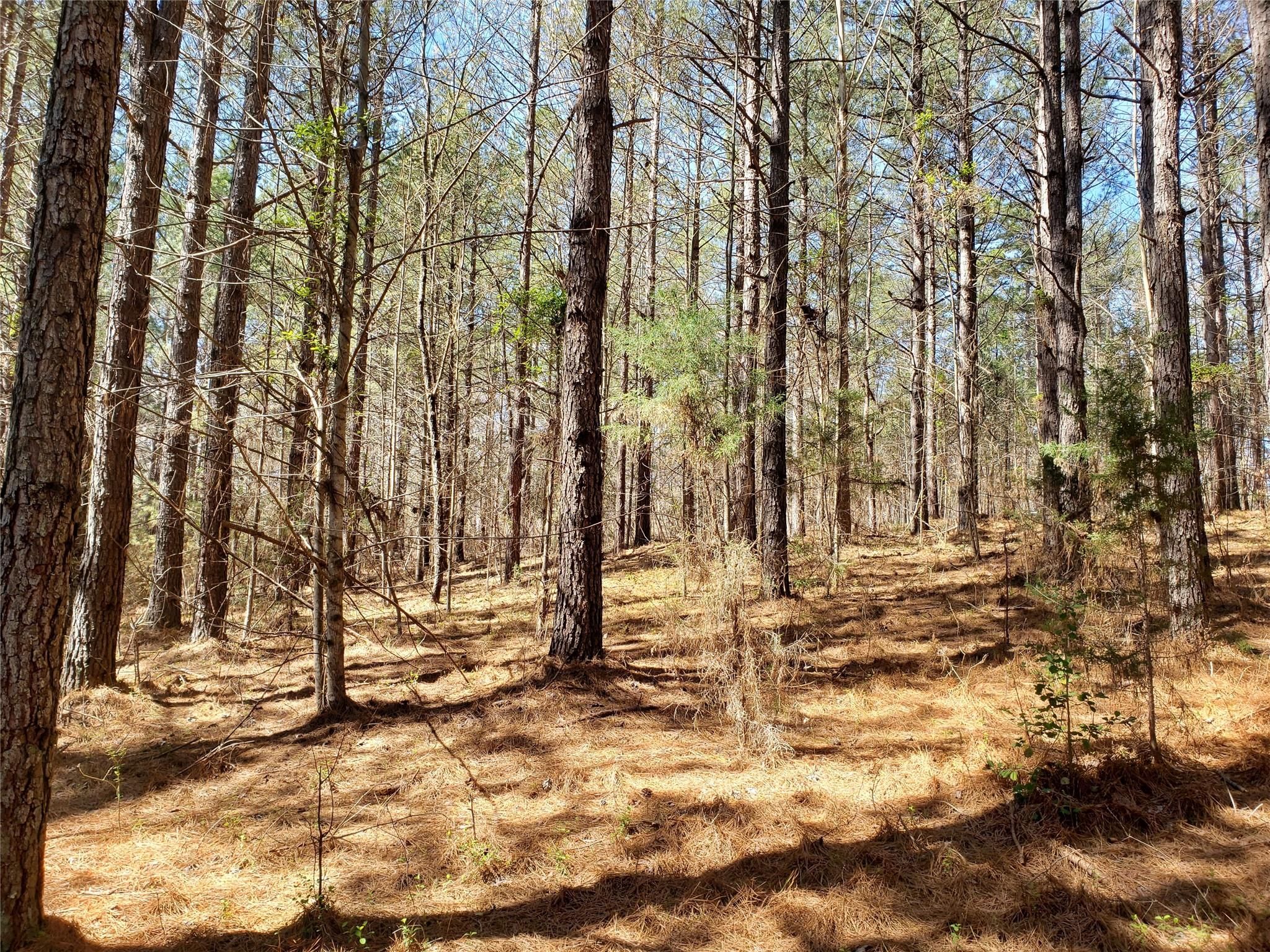 Bitterroot Circle
