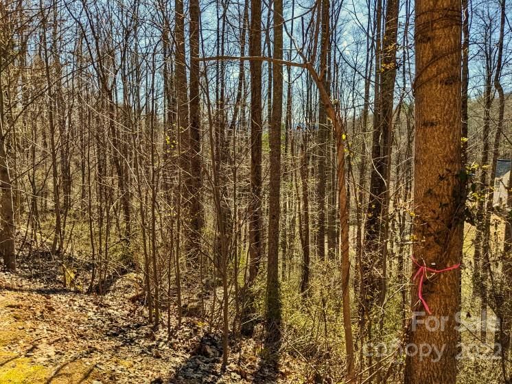 45 Ashewood Mountain Way