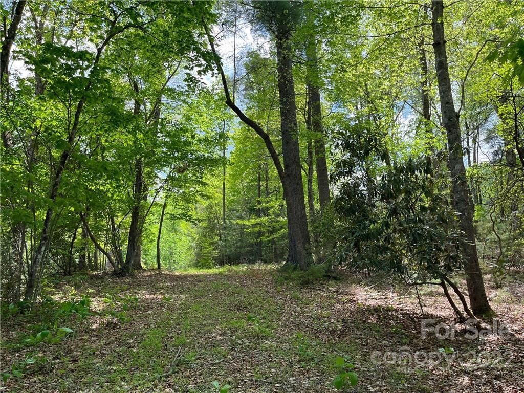 51 Misty Valley Parkway