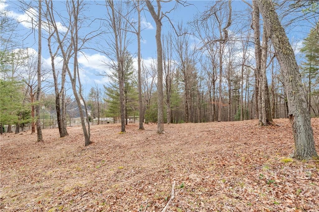 Lot 1 Cedar Hill Drive