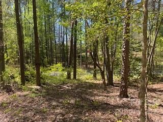 Lot 12 Dogwood Court