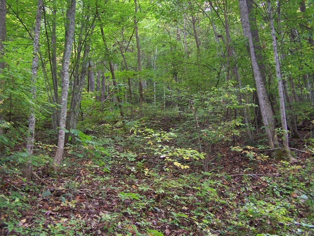 000 Whispering Woods Path