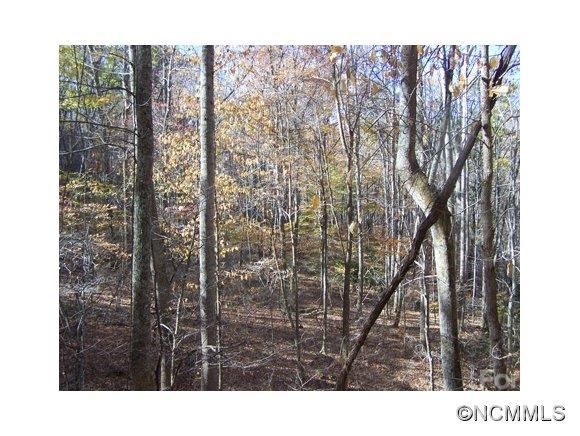 Lot 48 Whispering Woods Path