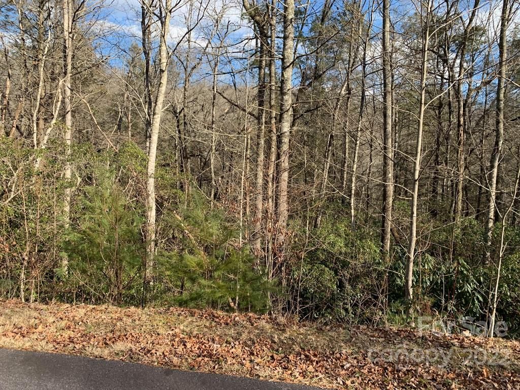 126 Green Hollow Lane