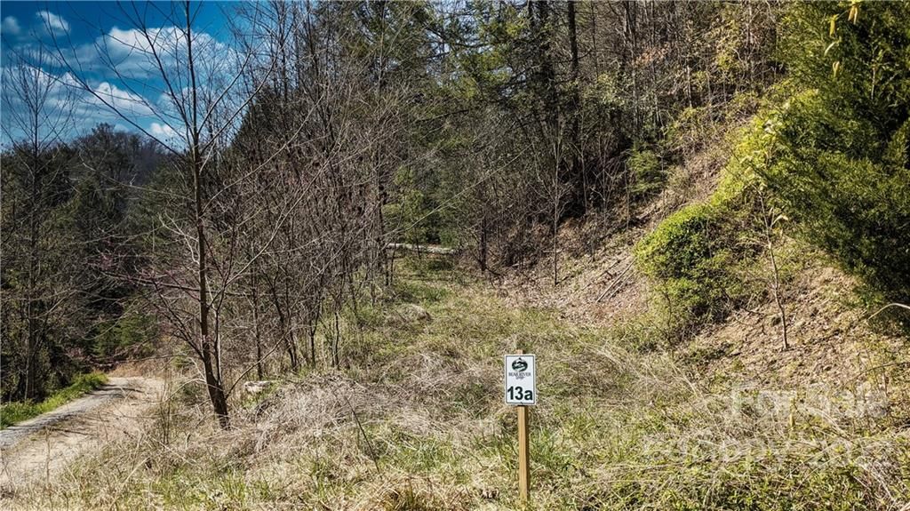 Lot 13a Moonshiners Trail