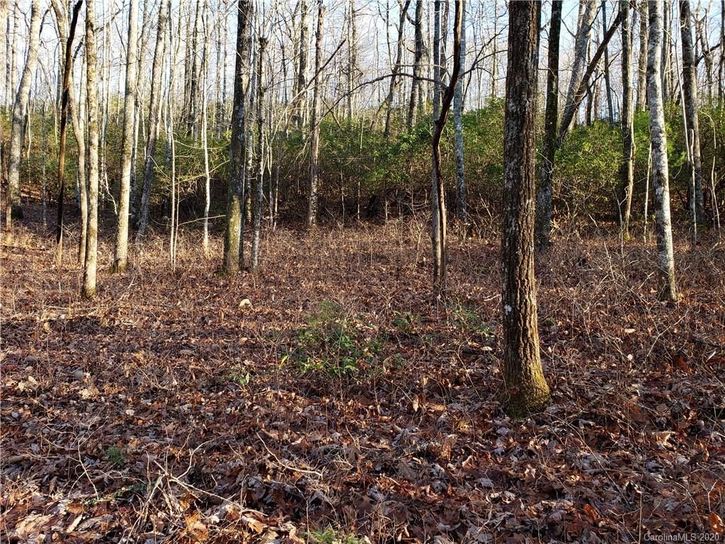 Lot 47 Big Branch Road