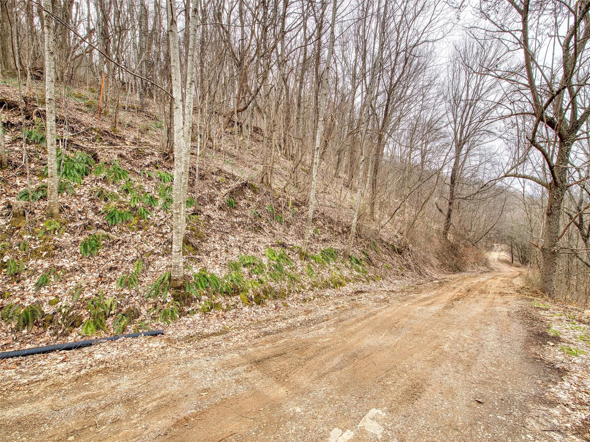 Lot 12 Lothlorian Road