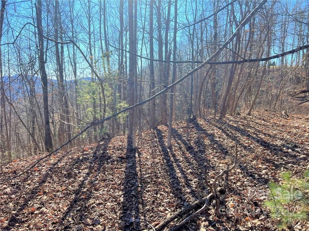 0000 Pinnacle Mountain Road