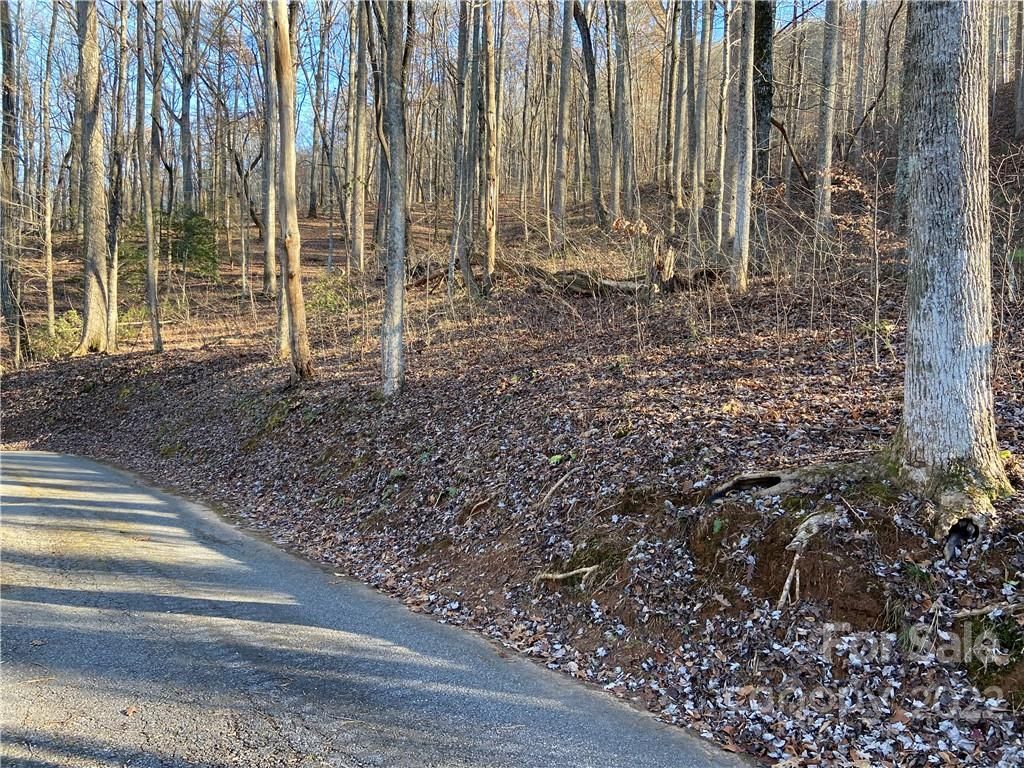 High Pines Loop