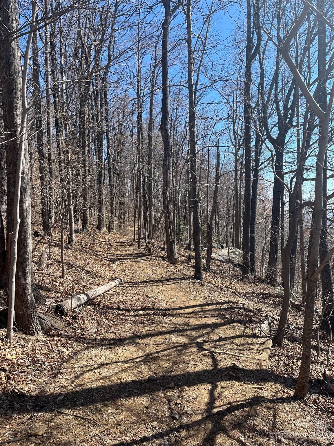 Lot 999 Skyuka Mountain Road
