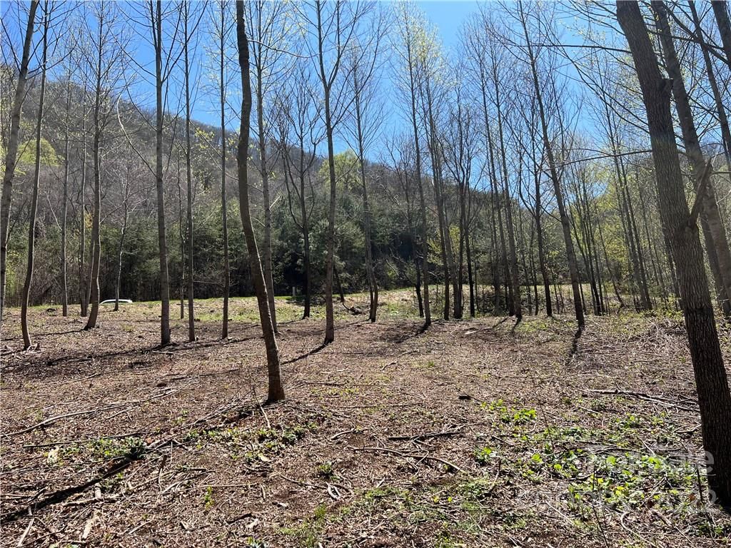 153 View Ridge Parkway