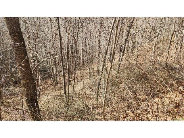 10 Gusty Knoll Trail