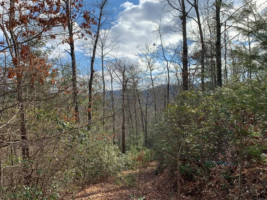 91 Laurel Thicket Lane