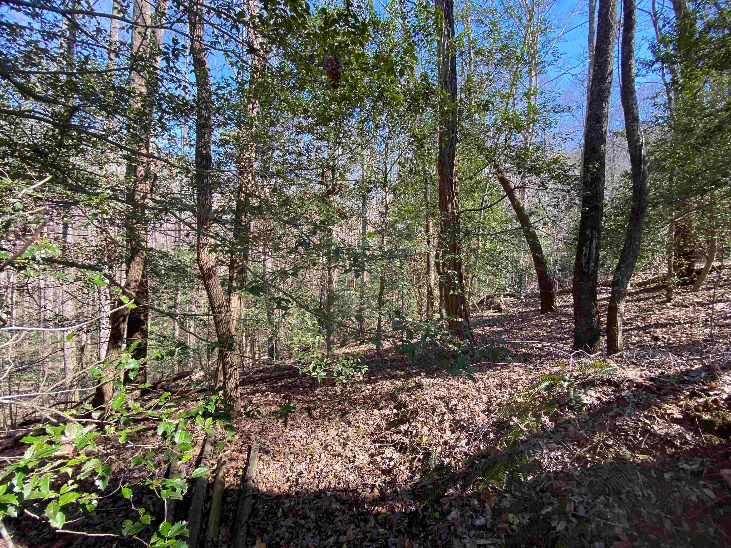 Chimney Rock Road