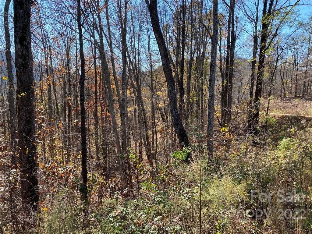Lot 144 Devin Ridge Lane