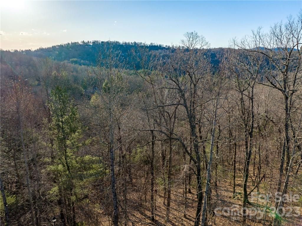 Lot 395 Roaring Fork Lane