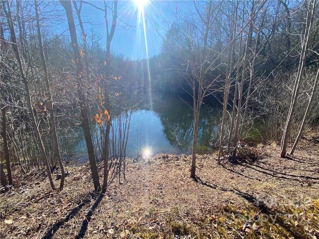 Tbd Pisgah Forest Drive