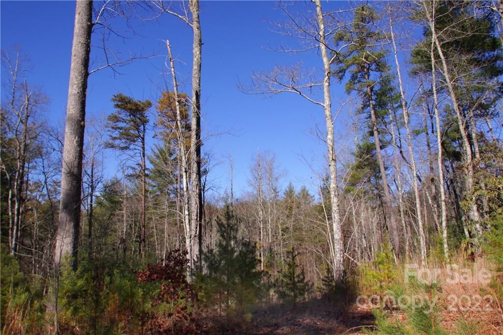 Lot 63 Peppervine Circle