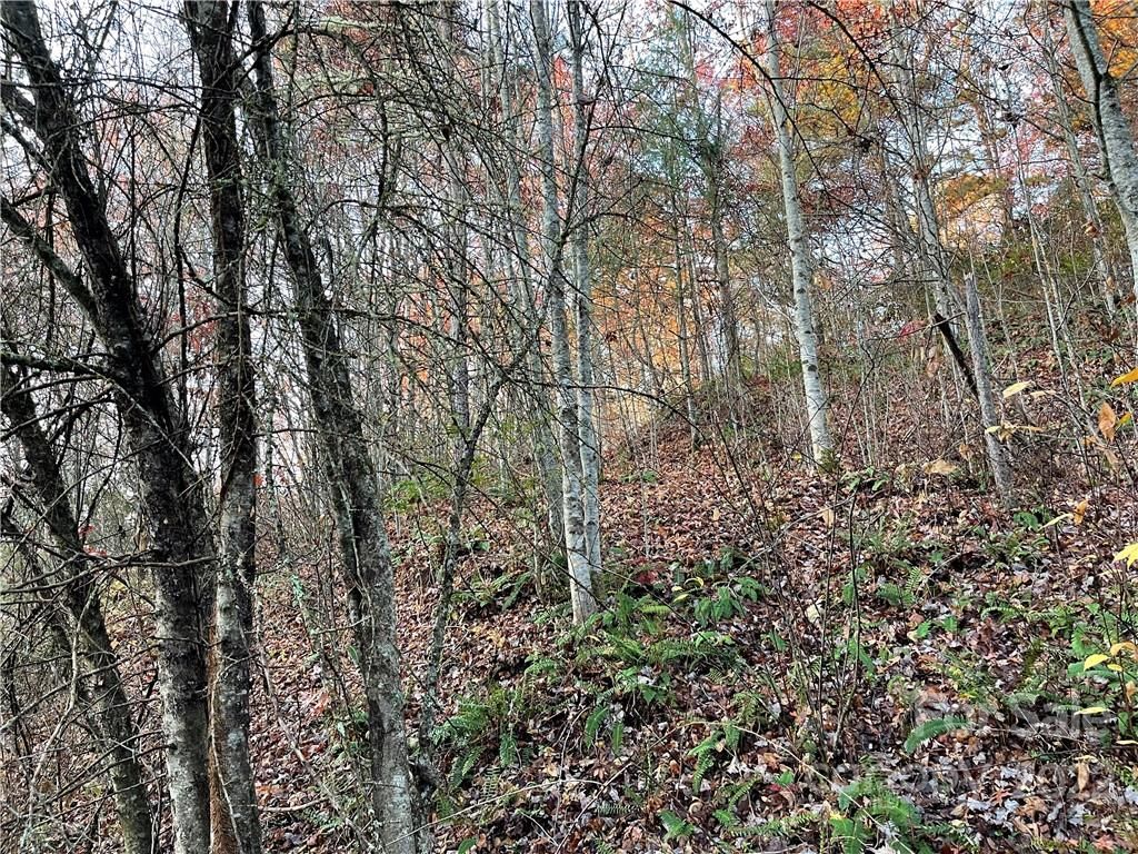 Lot 43 Kimiko Lane