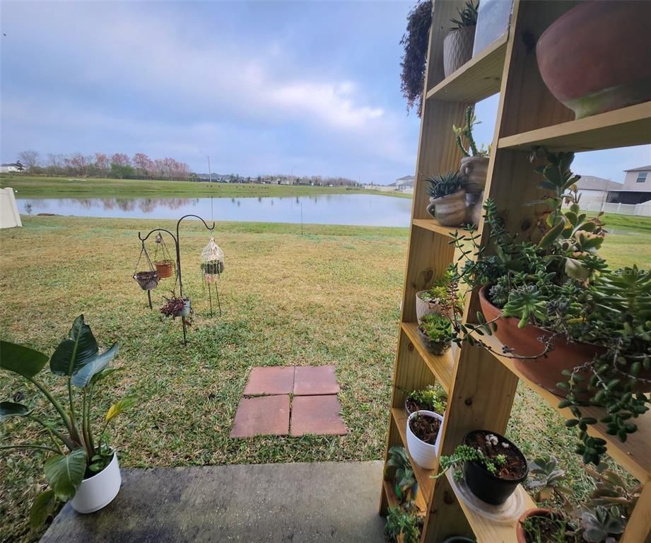 4221 Salt Springs Lane