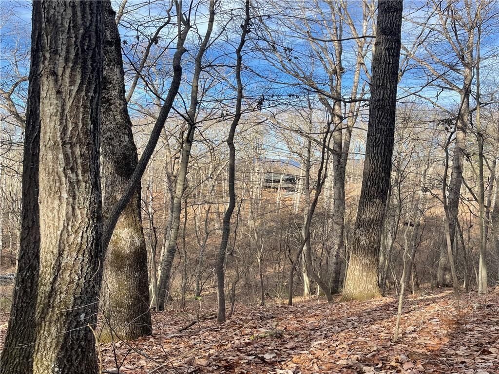 00 Pisgah Drive