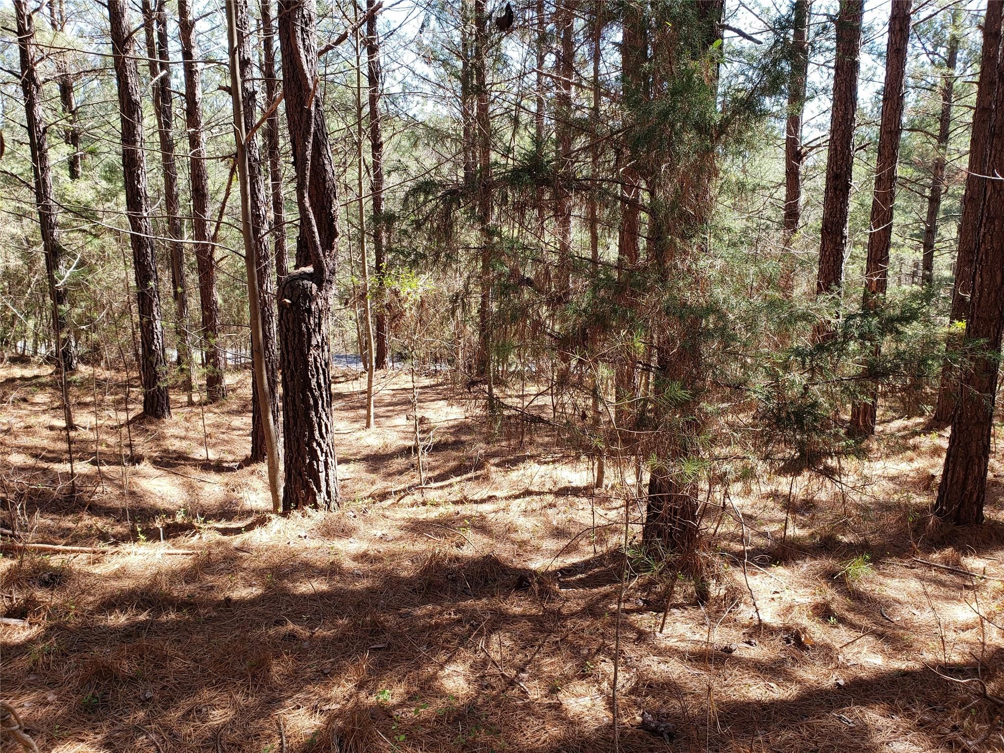 Bitterroot Circle
