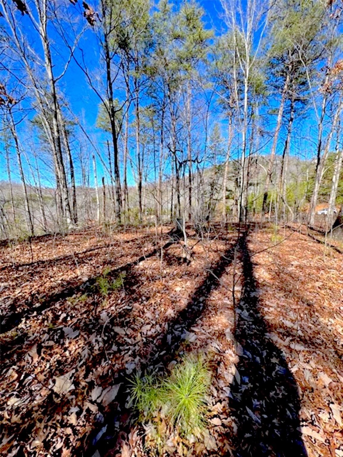 Deer Jump Trail