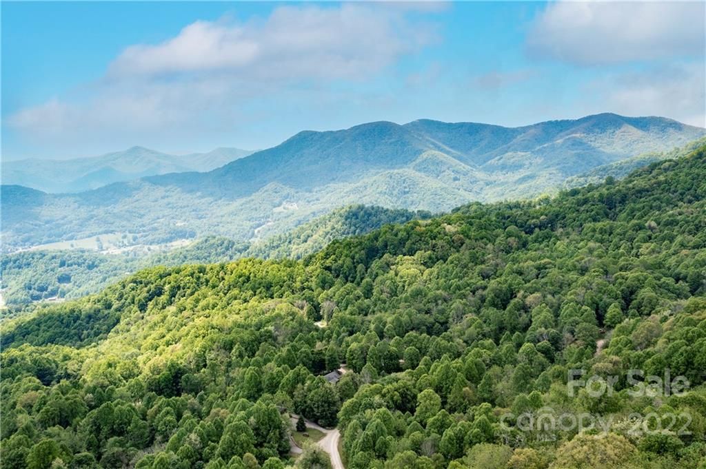 384 Live Oak Loop