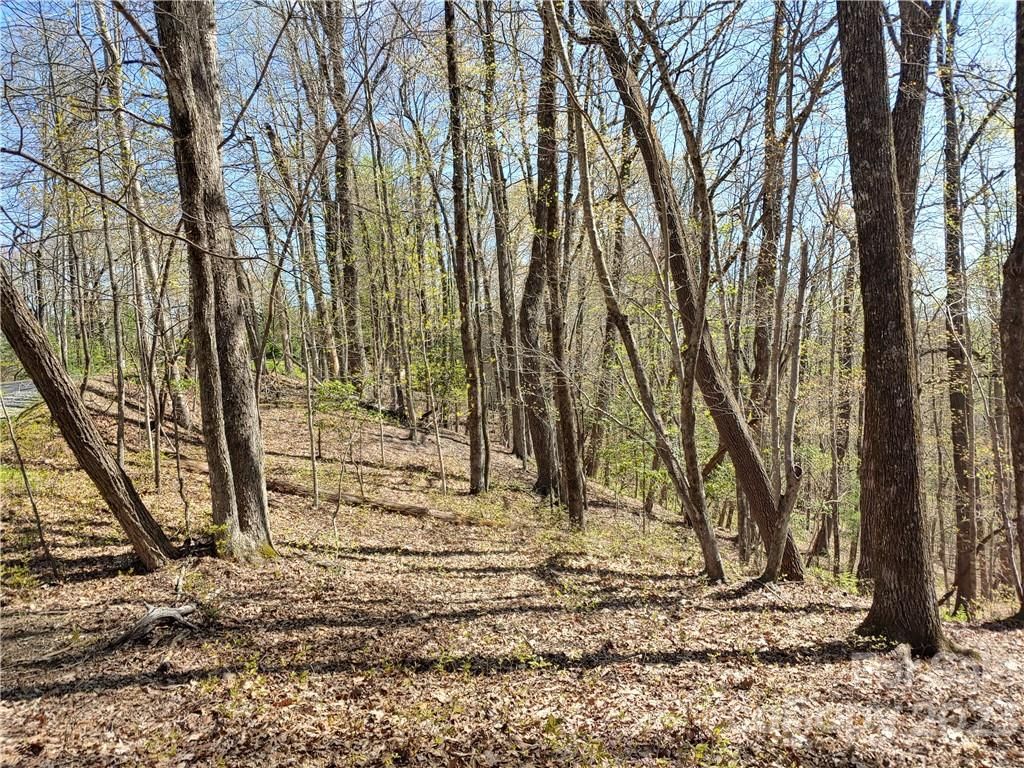Tbd Connestee Trail