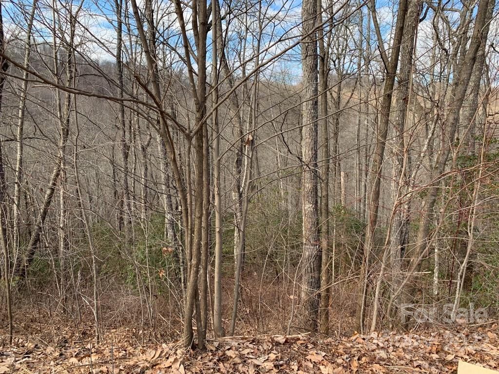 103 Laurel Thicket Lane