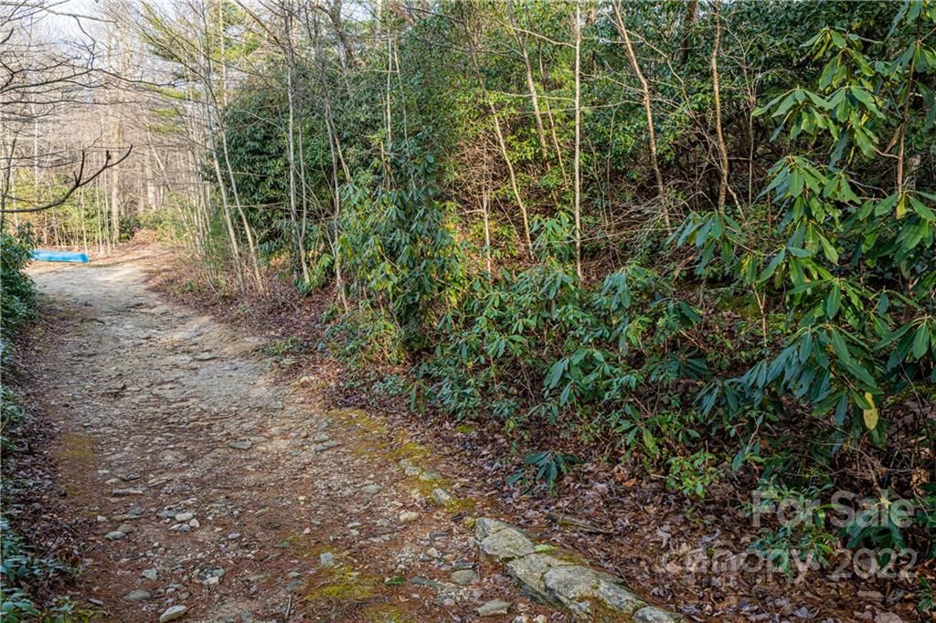 0000 Bear Paw Ridge Road