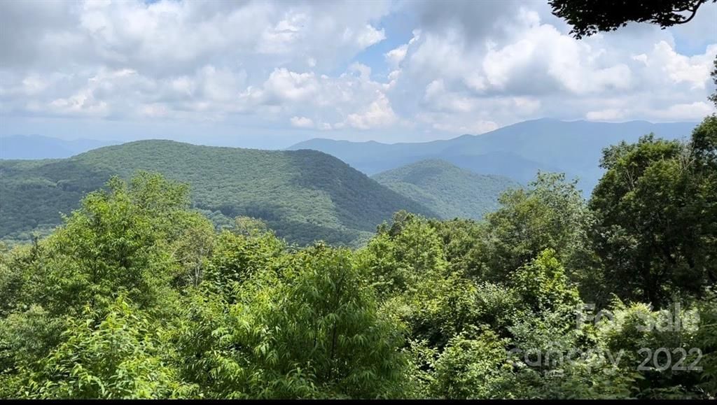 300 Licklog Mountain Trail