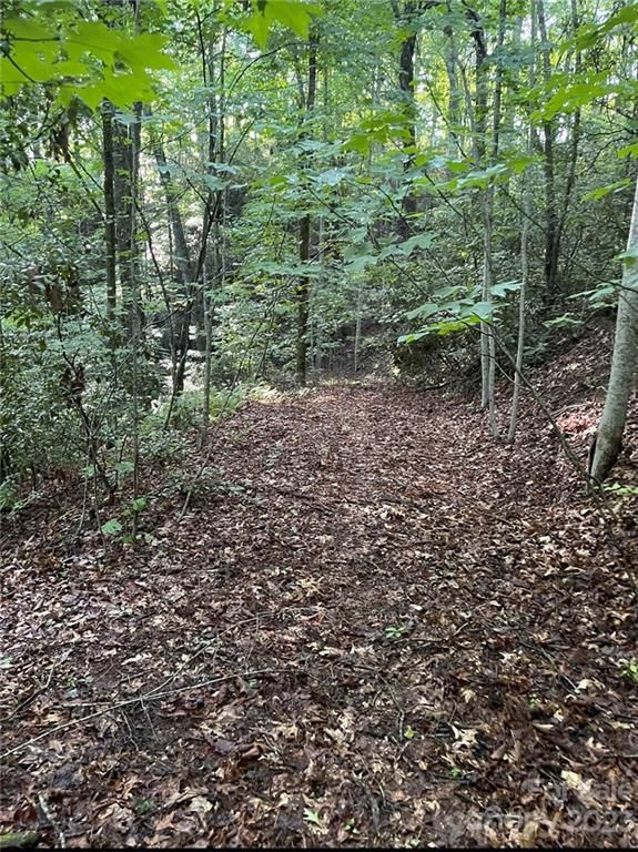 Tbd Big Hill Drive