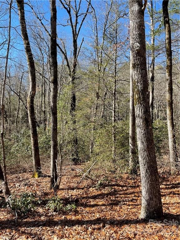 Lot #10 Renea Drive