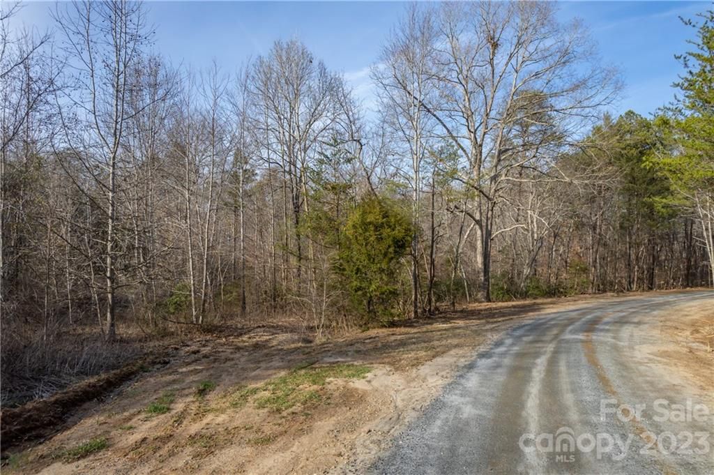 Pine Hill Drive