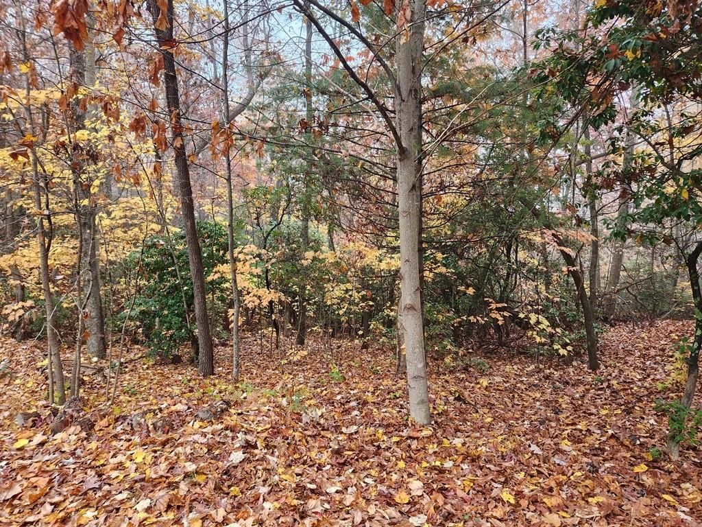 732 Faircrest Lane
