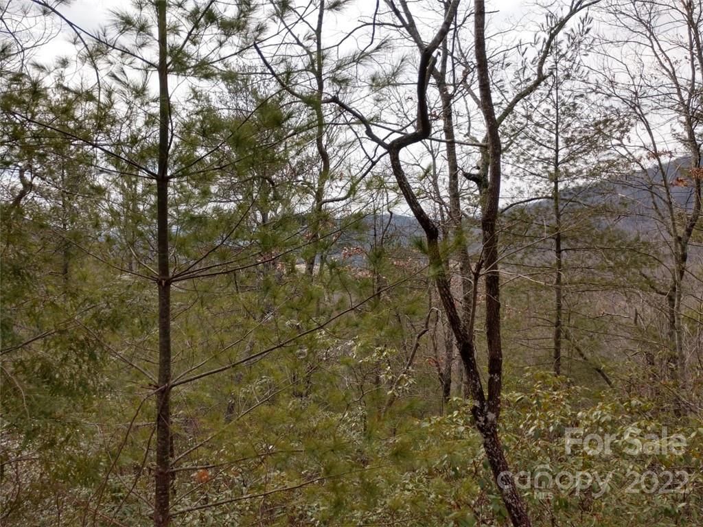 00 Deer Ridge Trail
