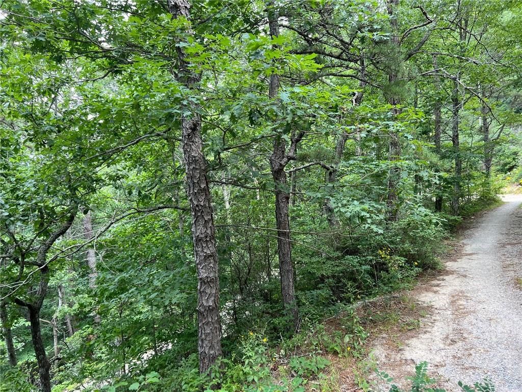 Pine Ridge Road