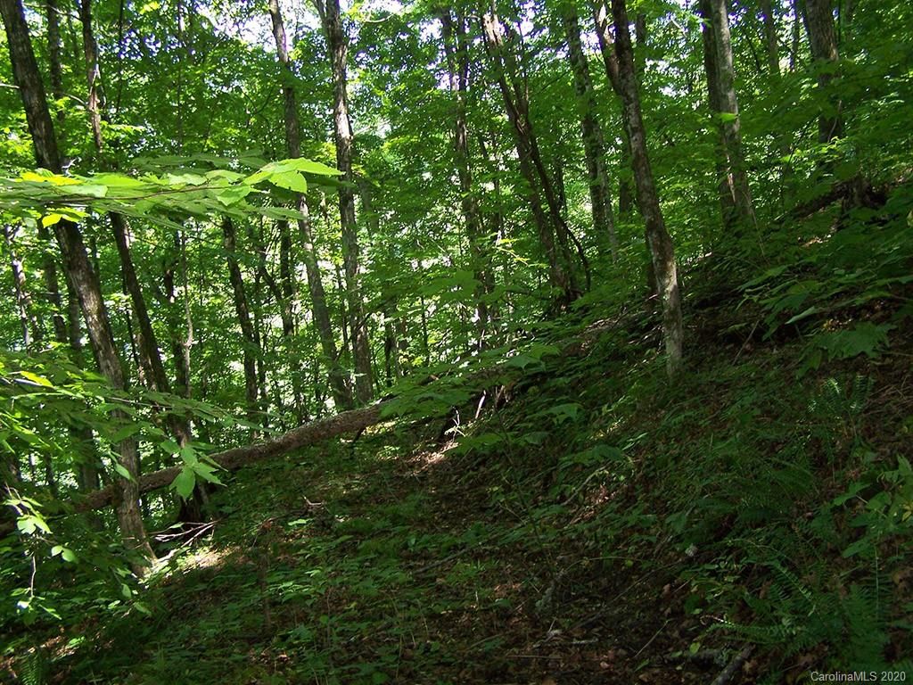 #6 Chestnut Flats Lane