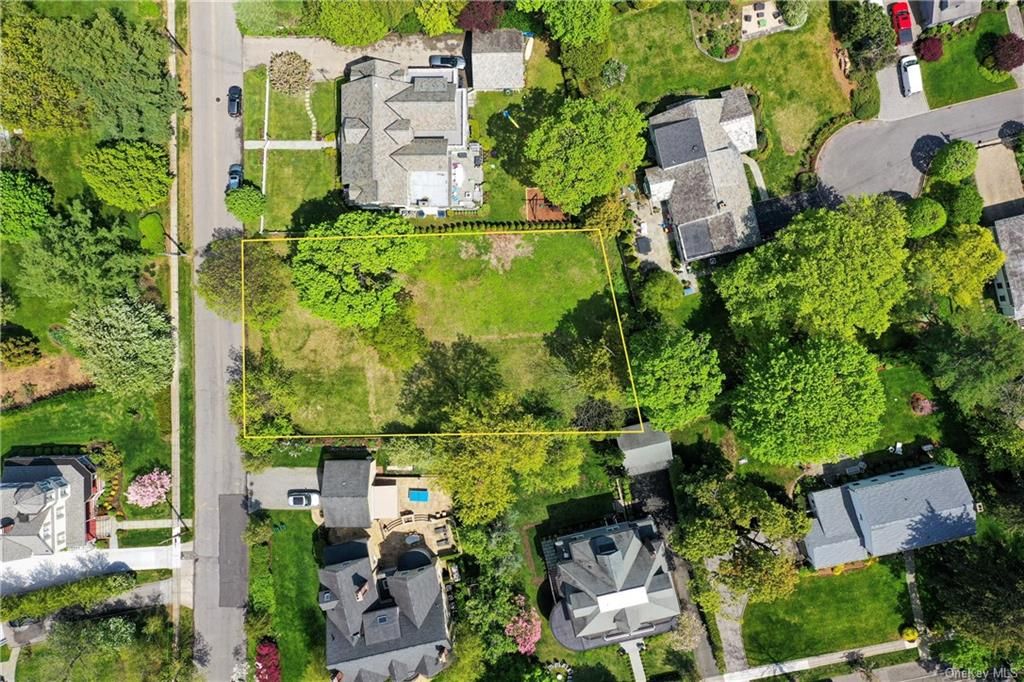 Linden Avenue