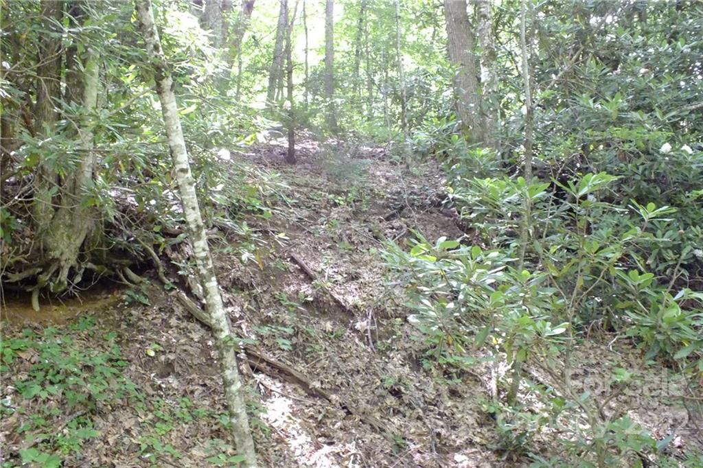 9 High Hopes Lane
