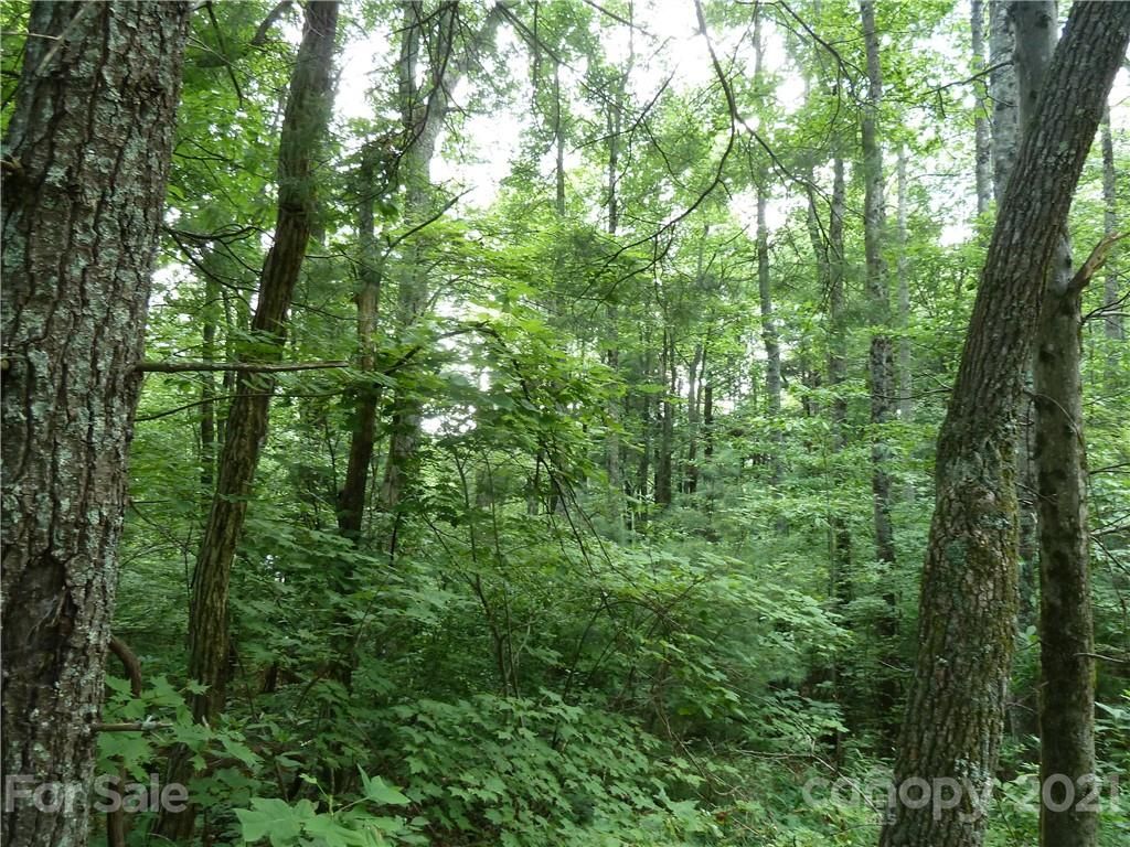 3 N Pointe Drive