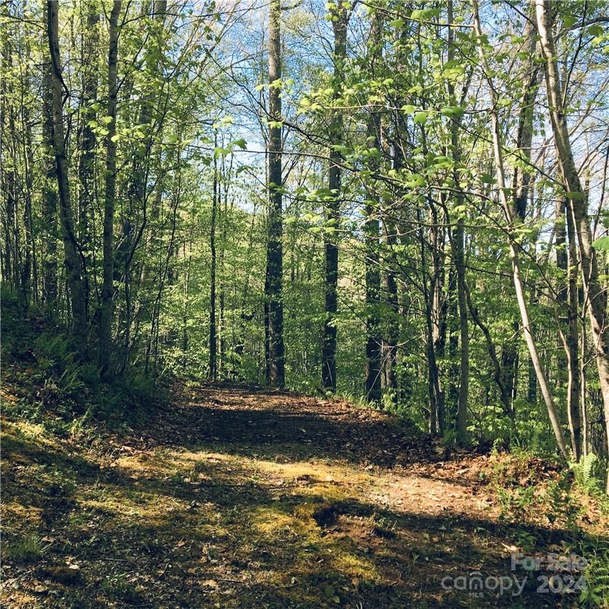 Tbd Fern Hill Drive
