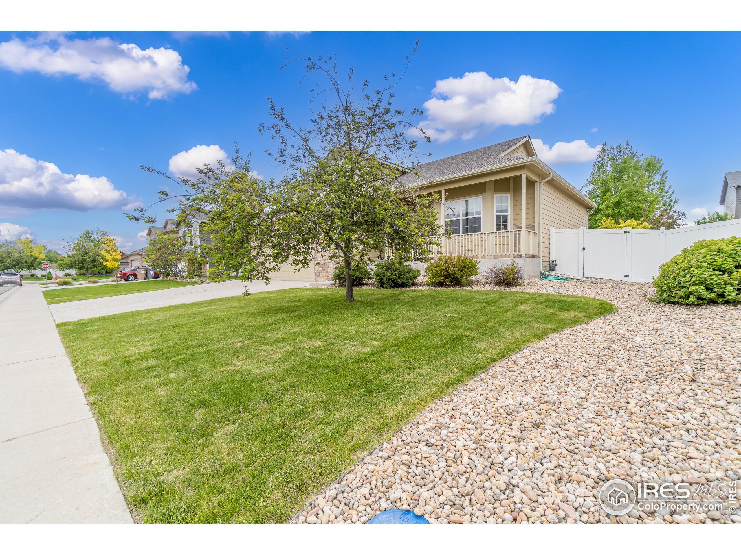 2564 Rosemary Ln