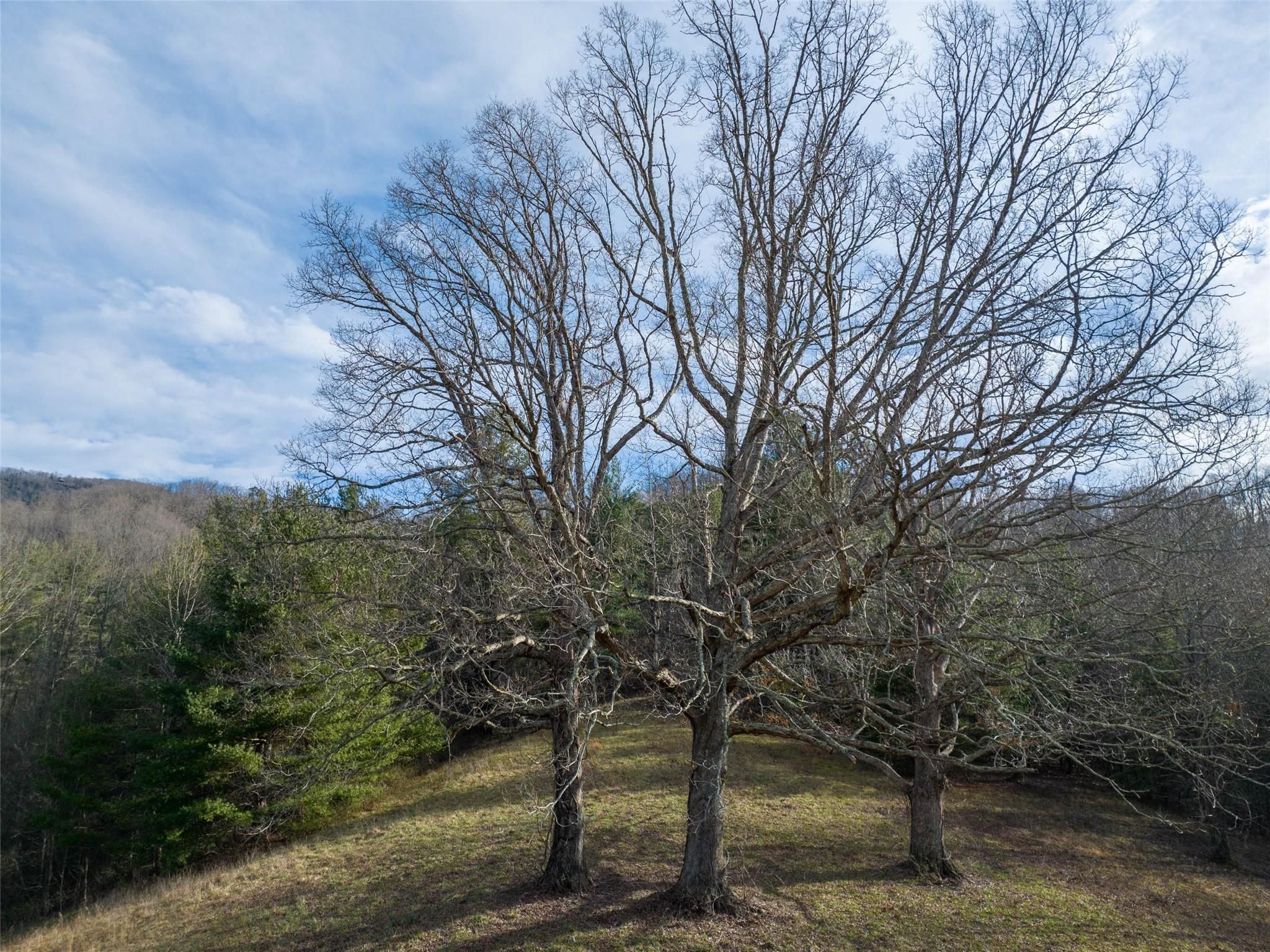 Tbd Garren Creek Road