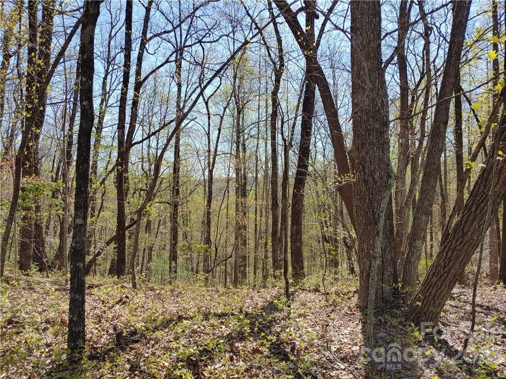 Tbd Connestee Trail
