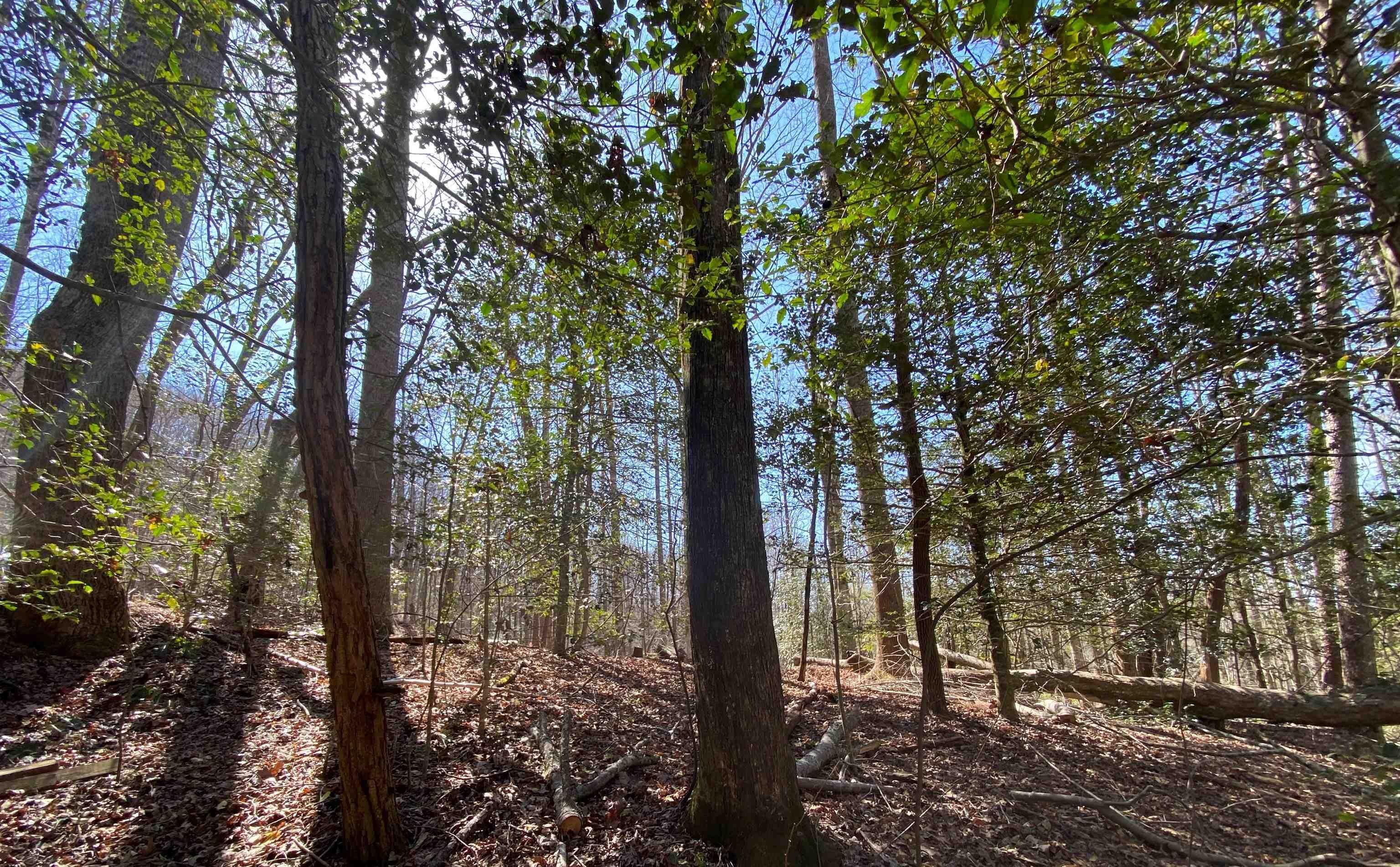 Chimney Rock Road